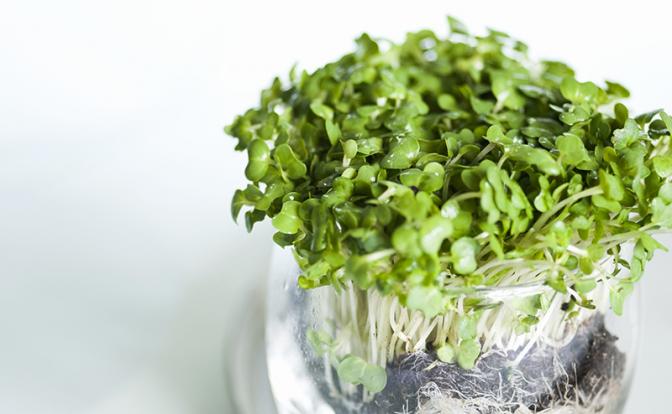 Нутрициолог рассказала о самом полезном продукте на планете