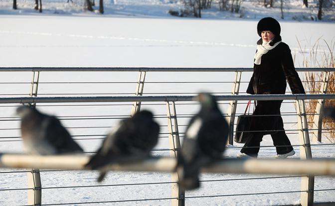 В Подмосковье зафиксирована самая холодная ночь с начала зимы