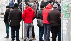 Смертельный вирус Нипах: Массовый завоз гастарбайтеров из Индии чистоты не добавит, а угрозы принесет