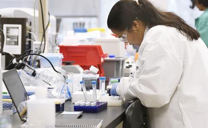 "Корона" крепко порадовала фармацевтов-барышников: Онищенко назвал еще 7 вирусов-кандидатов на обогащение "Биг фармы"