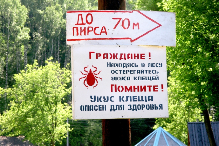 ТАСС/Александр Тырышкин