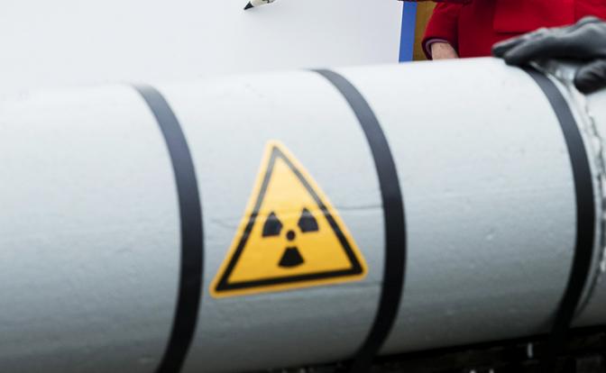 Аналитик обозначил сроки получения Польшей своего ядерного оружия