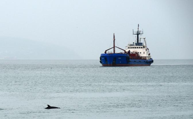 СМИ: Российские нефтяные танкеры снова идут в Индию