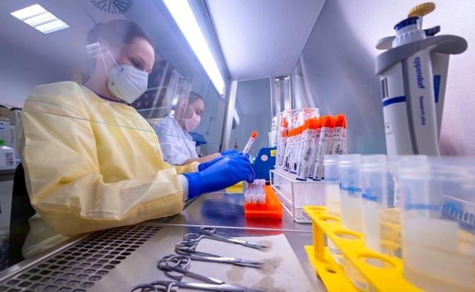 Найден самый простой способ выявить болезнь мозга