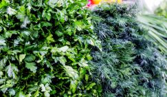 Средиземноморская диета русской зимой: врач назвала доступные продукты, продлевающие жизнь