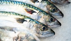 Названы полезные российские аналоги дорогой красной рыбы и оливкового масла