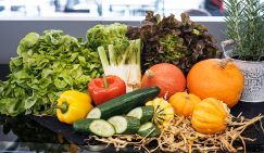 Даже полезнее: нутрициолог назвала недорогие продукты на замену свежим овощам