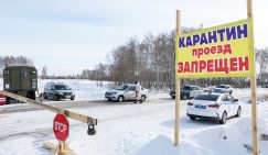 Операция «Ликвидация»: Новосибирская область ввела режим ЧС, Москва согласилась дать немного денег, суд штрафует фермеров