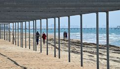 Юрист назвал античеловечным официальное открытие пляжей и купального сезона в Анапе