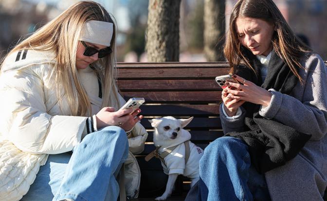 Посланные Большим Братом: Куда уйдут ТГ-пользователи, когда Telegram задушат окончательно