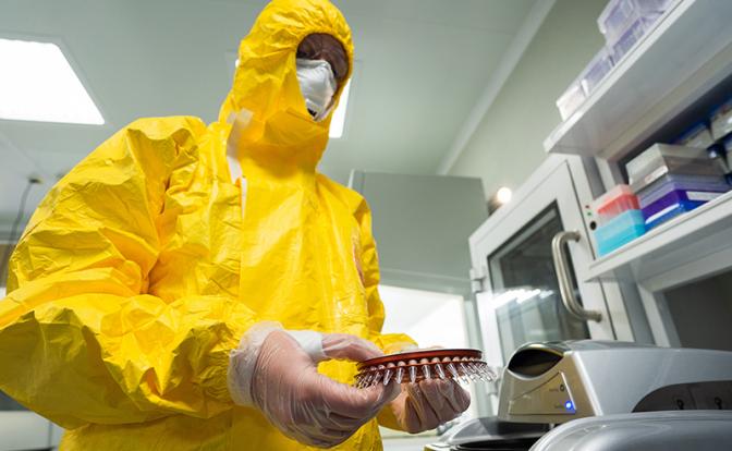 Новосибирская "живодерня" так ничему и не научила? С ветеринарией в России, похоже, покончили