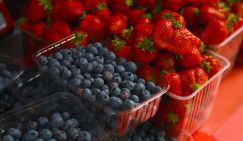 Известная ягода снижает уровень сахара при диабете