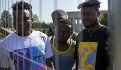 Сенегал - это не только "чудеса, крокодилы и баобабы", но и десятки дворников для Оренбурга