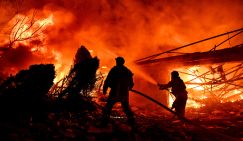 «Илон Маск – скотыняка!» Ночной кошмар оставил у майданутых кучу вопросов к западным спонсорам