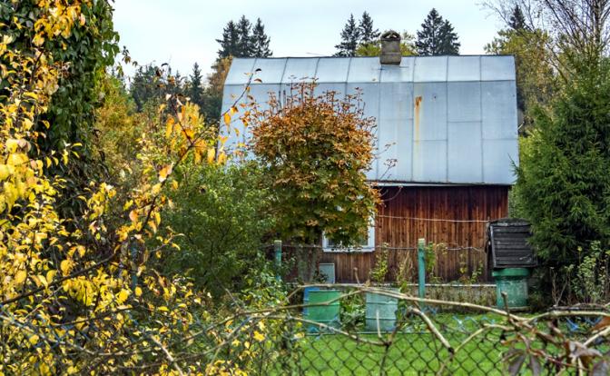 Дачникам на заметку: обычная бочка с водой может стать источником смертельной инфекции