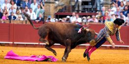Бык одержал победу над «Королём тореадоров»: Жесткая коррида в Испании