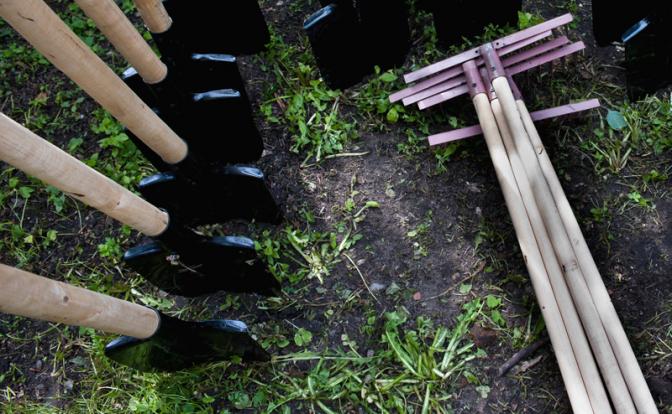 Новая напасть для садоводов: эксперт рассказал о рисках появления «бешеных» червей в РФ