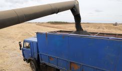 Конфликт в Заливе – это семечки. Кто выиграет от роста цен на продовольствие