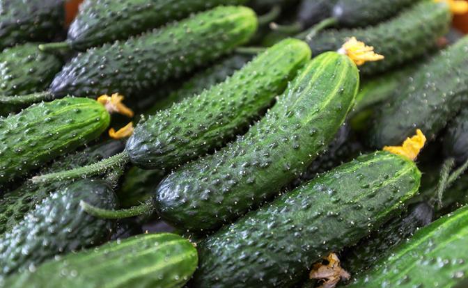 Назван самый подешевевший за месяц продукт в России