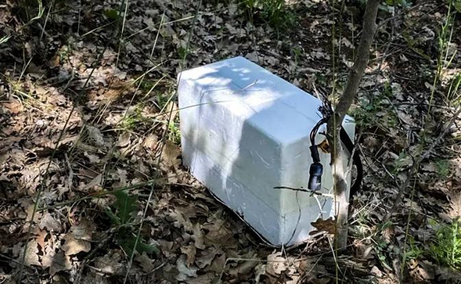 В Севастополе после атаки дронов ВСУ нашли контейнер со взрывчаткой
