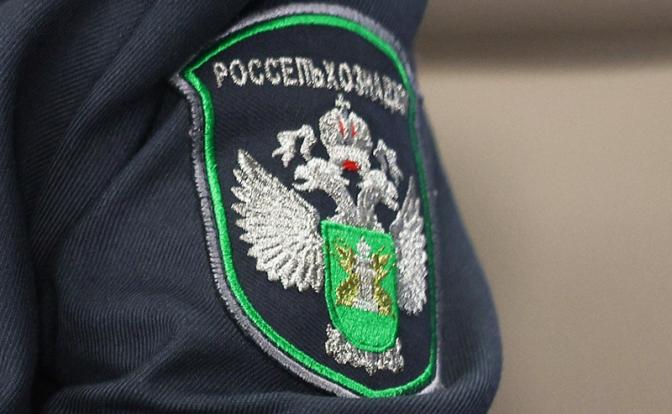 Россельхознадзор: Армения должна приостановить сертификацию рыбы для экспорта в РФ