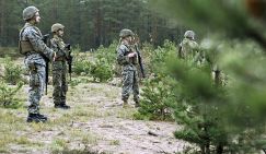 Из приграничных финнов в Суоми создают «партизанские отряды» — посчитаться с русскими за «Зимнюю войну»