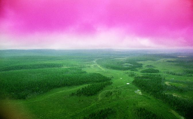 На фото: тайга в месте падения Тунгусского метеорита.