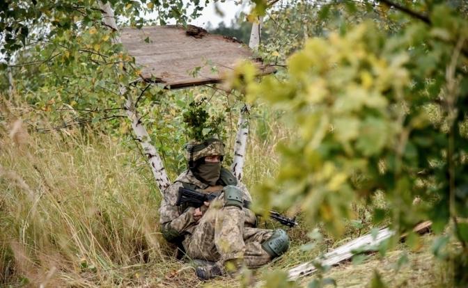 Пророссийское подполье на Украине: "Формировать сеть нужно было в 2014 году"