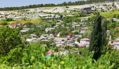 Приметы крымского лета: Горькие утраты и урожай персиков, полевые кухни и бесстрашные курортники
