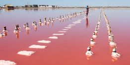 Розовое чудо Крыма: озеро, которое выглядит как фантазия