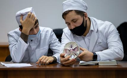 Причуды высшего образования: В медвуз - охотно, а вот врачом-специалистом становиться - дураков нет