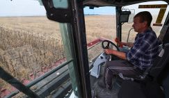 Отпускать дизтопливо пипеткой? Нынешний топливный кризис больно аукнется низким урожаем следующего года