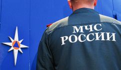 «Калаш» для МЧС: Кто попадет в прицел автоматов и пистолетов, которые получат сотрудники ведомства?
