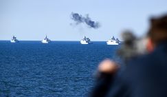 "Отважные кабаны Вотана" задирают рыла близ Калининграда. Не пора ли объявить открытие охотничьего сезона?