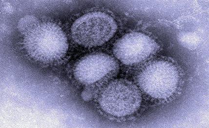 В Мьянме от гриппа H1N1 скончались 90 человек