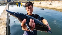 Среднедушевой ВВП в Китае второй год подряд превышает 10 тыс долларов