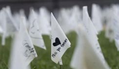 В США из-за коронавирусной эпидемии осиротели 200 тыс. детей