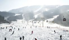 Китайцы проявляют все больший интерес к зимним видам спорта