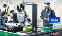 Человекоподобные роботы заняты «практической тренировкой»