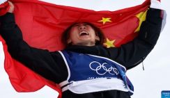 Су Имин завоевал первое золото Китая в соревнованиях по сноуборду