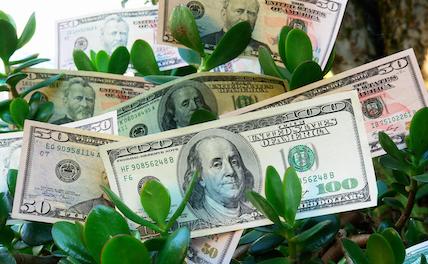 В 2025 году в Китае заметно увеличился объем "зеленых" кредитов