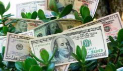 В 2025 году в Китае заметно увеличился объем "зеленых" кредитов