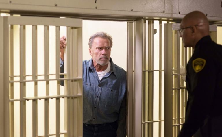 На фото: Арнольд Шварценеггер в фильме «Последствия» 