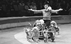 На фото: клоун Юрий Куклачев на сцене Ленинградского цирка