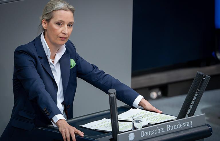 На фото: заседание бундестага: Алиса Вайдель, АДГ, 2025