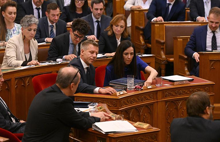 На фото: Анита Орбан в парламенте Венгрии